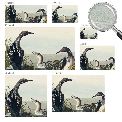 Fototapeta na mieru Vtáky nad vodou