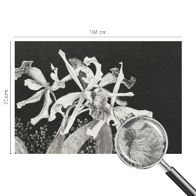 Vliesová tapeta Ilustrácia orchidey