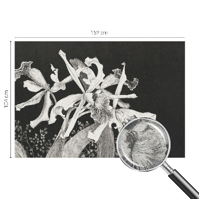 Vliesová tapeta Ilustrácia orchidey