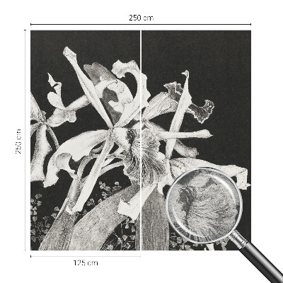 Vliesová tapeta Ilustrácia orchidey