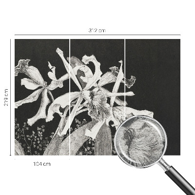 Vliesová tapeta Ilustrácia orchidey