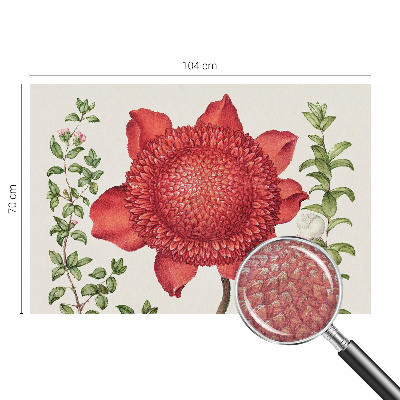 Fototapeta Kvetinová elegancia