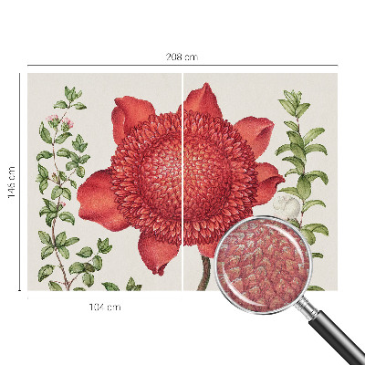 Fototapeta Kvetinová elegancia