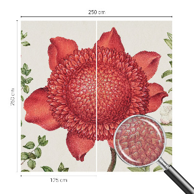 Fototapeta Kvetinová elegancia