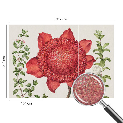 Fototapeta Kvetinová elegancia