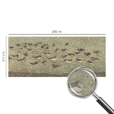 Vliesová fototapeta s potlačou Vtáčí pokoj