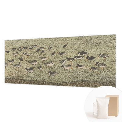 Vliesová fototapeta s potlačou Vtáčí pokoj