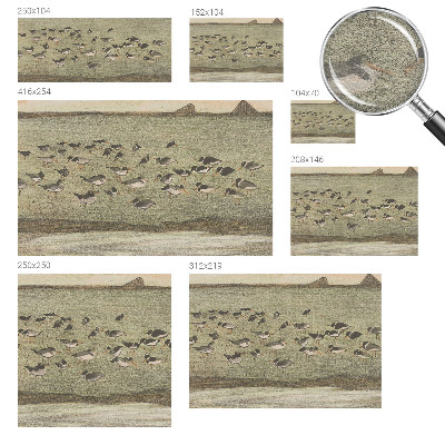 Vliesová fototapeta s potlačou Vtáčí pokoj