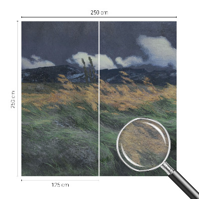 Moderná fototapeta Povyfúkané trávy