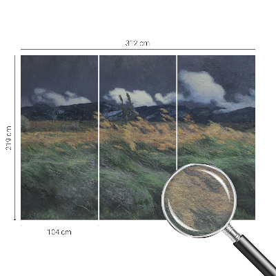 Moderná fototapeta Povyfúkané trávy