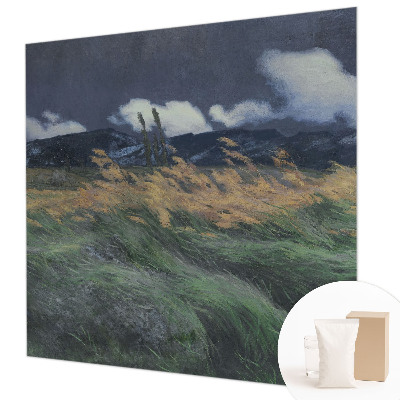 Moderná fototapeta Povyfúkané trávy