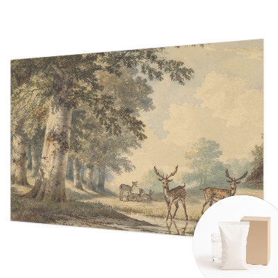 Fototapeta na stenu Lesný pokoj