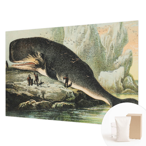 Vliesová fototapeta na stenu Morský gigantizmus