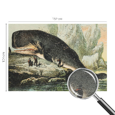 Vliesová fototapeta na stenu Morský gigantizmus