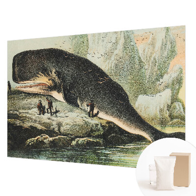 Vliesová fototapeta na stenu Morský gigantizmus