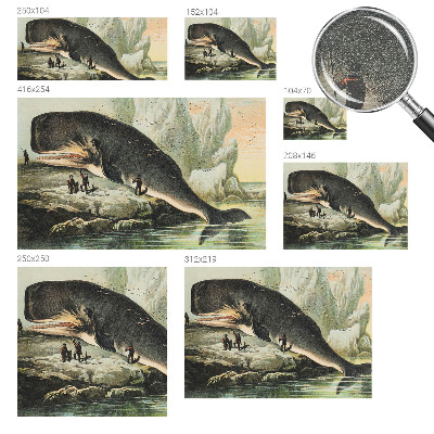 Vliesová fototapeta na stenu Morský gigantizmus