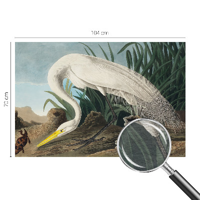 Fototapeta do spálne Majestátna volavka