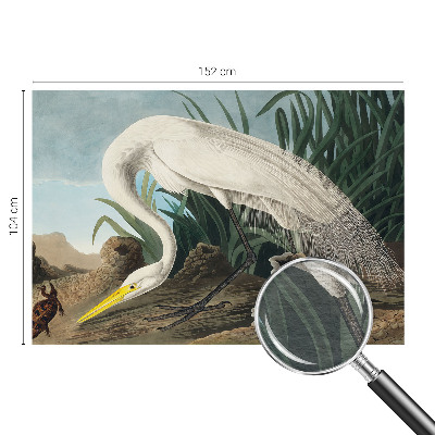 Fototapeta do spálne Majestátna volavka