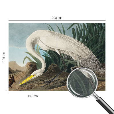 Fototapeta do spálne Majestátna volavka