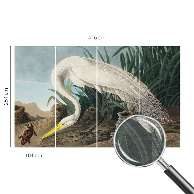 Fototapeta do spálne Majestátna volavka