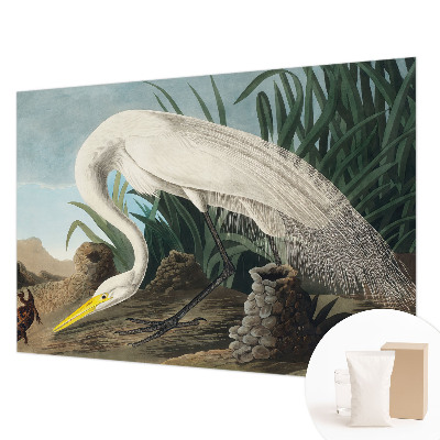 Fototapeta do spálne Majestátna volavka