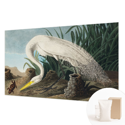 Fototapeta do spálne Majestátna volavka