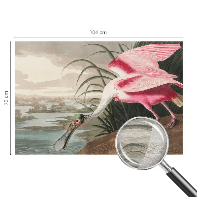 Vliesová fototapeta do obývačky Exotický vták