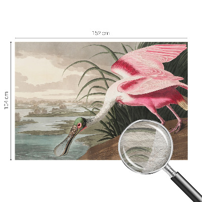 Vliesová fototapeta do obývačky Exotický vták