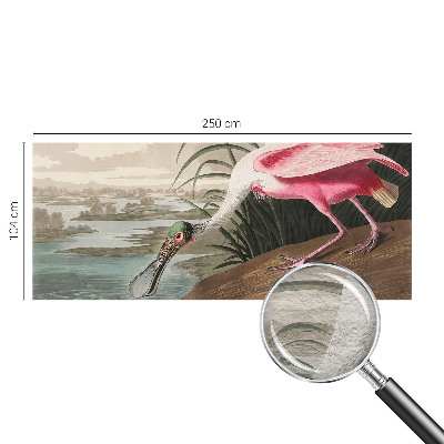 Vliesová fototapeta do obývačky Exotický vták