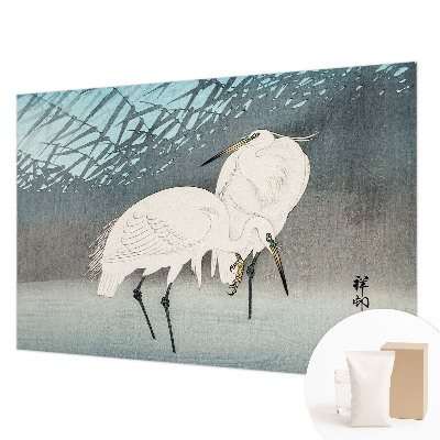 Fotografická tapeta vliesová Jemné vtáky