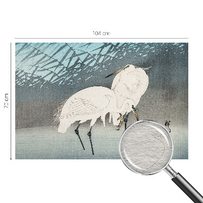 Fotografická tapeta vliesová Jemné vtáky