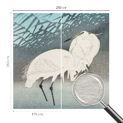 Fotografická tapeta vliesová Jemné vtáky