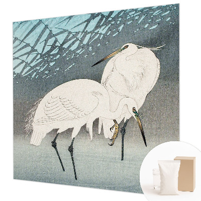 Fotografická tapeta vliesová Jemné vtáky