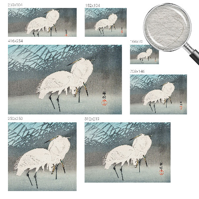 Fotografická tapeta vliesová Jemné vtáky