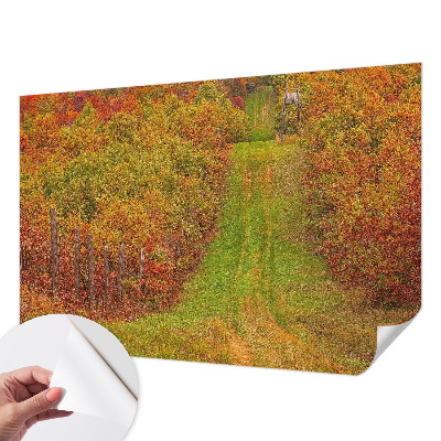 Detská fototapeta s motívom jesenných farieb