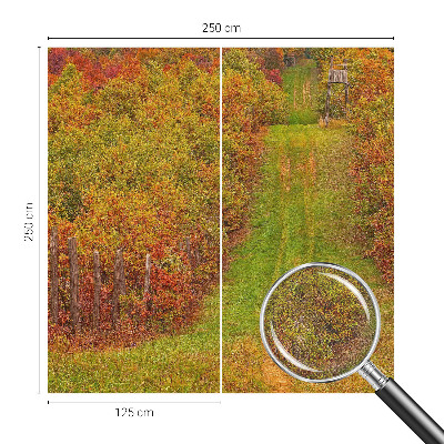 Detská fototapeta Jesenné farby