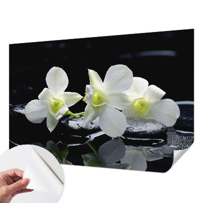 3D tapeta na stenu Kvety a kamene