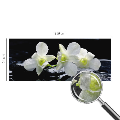 3D tapeta na stenu Kvety a kamene