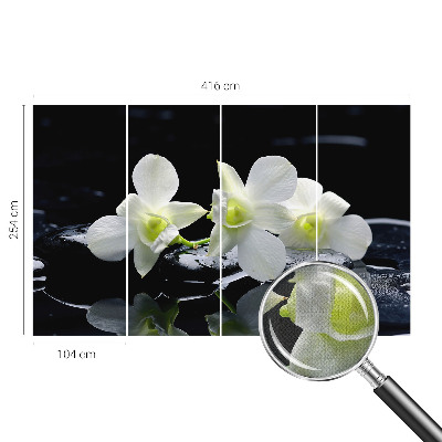 3D tapeta na stenu Kvety a kamene