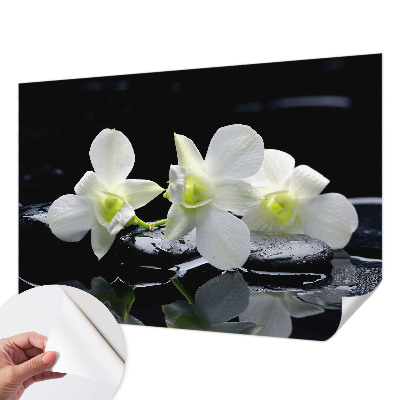 3D tapeta na stenu Kvety a kamene