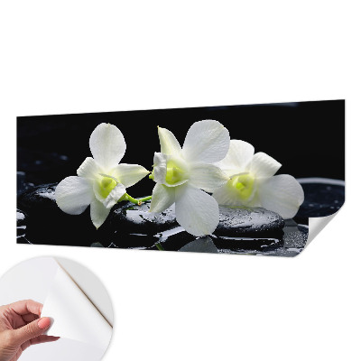 3D tapeta na stenu Kvety a kamene