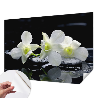 3D tapeta na stenu Kvety a kamene