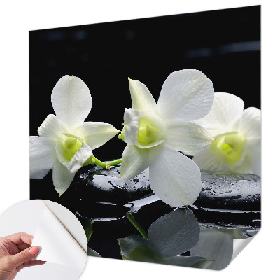 3D tapeta na stenu Kvety a kamene