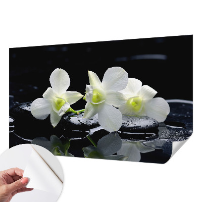 3D tapeta na stenu Kvety a kamene