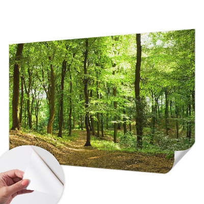 Fototapeta pre chlapca s motívom „Prirodzená cesta“