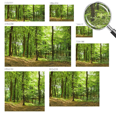 Fototapeta pre chlapca Prirodzená cesta