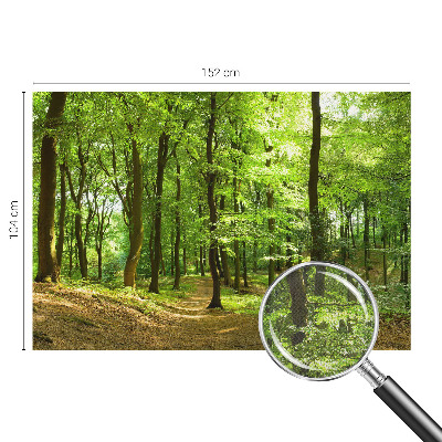 Fototapeta pre chlapca Prirodzená cesta