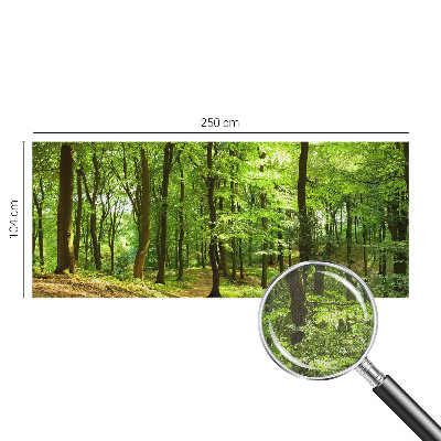 Fototapeta pre chlapca Prirodzená cesta