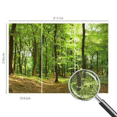 Fototapeta pre chlapca Prirodzená cesta