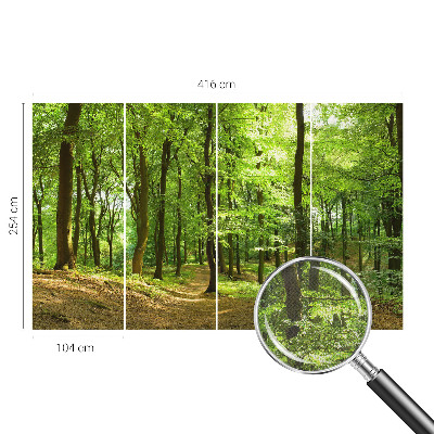 Fototapeta pre chlapca Prirodzená cesta